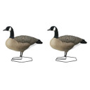 Rogue Series Full Body Canada Goose Decoys, 6 Pack