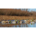 Pro-Grade XD Series Mallards, Active 6 Pack