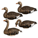 Heyday HydroFoam Specklebelly Goose Floaters 4 Pack Image