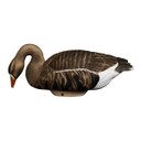 Heyday HydroFoam Specklebelly Goose Floaters Feeder Image