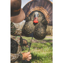 Flextone Thunder Creeper Strutter Turkey Decoy Stake Placement Image