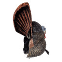 Flextone Thunder Creeper Strutter Turkey Decoy Side Image