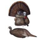 Flextone Thunder Creeper Strutter and Chick Breeder Turkey Decoy Combo Image