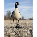 Avian-X X-Factor Decoy Motion System Goose In-the-Field Front Image