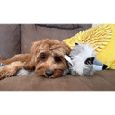 ROCT’s Curious Raccoon Unstuffed Dog Toy Lifestyle Image