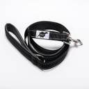 ROCT Trailhead Dog Leash with Padded Heel Handle Image in Black
