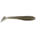 image of Rogers 3.75" Thrash Swimbait in Tennessee Shad.