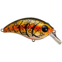 Bill Lewis ATV Squarebill Product Image in Rootbeer Craw
