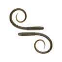 Chompers Possum Tail - 5 Pack