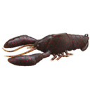 Image of the Sleeper Craw in Uchida Craw