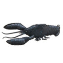 Image of the Sleeper Craw in Black Blue
