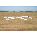 GHG Pro-Grade Tall Snow Goose Sock Decoys 1 Dozen No Heads