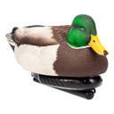 front angled image of Avian-X Power Swimmer Mallard Drake Motion Duck Decoy.