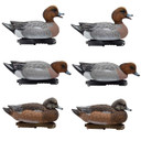 Final Approach Live Eurasian Floating Wigeon Duck Decoy Image