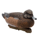 Final Approach Live Eurasian Floating Wigeon Duck Decoy Image
