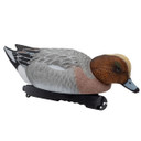 Final Approach Live Eurasian Floating Wigeon Duck Decoy Image