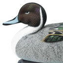 Final Approach HD Pintail Floating Duck Decoy close up image