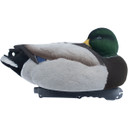 Final Approach LIVE Fully Flocked Mallard Floater Duck Decoys with 12-Slot Decoy Bag Image