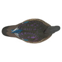 Top hen image of the HD Wood Ducks Floating Duck Decoys.