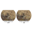 Sig Sauer ZULU6 HDX 16x42mm Binocular Image Stabilization Image