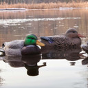 Higdon Outdoors Standard Mallard Filler 6 Pack Image