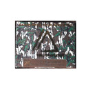 Apex Ammunition 20 Gauge 3" 1 5/8oz 1175FPS Mossy Oak Greenleaf TSS, Box of 5 Image