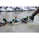 Rig'Em Right 36" Xtreme Texas Rigs with 3 oz. Weights, 12 Pack Field Image