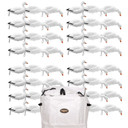 Final Approach LIVE Full Body Snow Geese Decoys - 48 Pack with Rogers Giant Decoy Bag Image