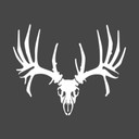 Hunters Image Non-Typical Whitetail Skull Decal - Small Decal