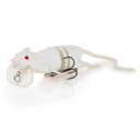 Savage Gear 3D Rat Fishing Lure Angled Image in White