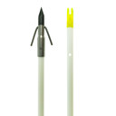 Muzzy Fish Arrow with Carp Point