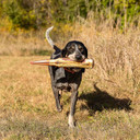 ROCT Hornady Ammo Round Dog Toy