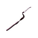 YUM Ribbontail Worm 7 1/2", 12 Pack - Red Shad