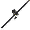 Penn Squall II Level Wind Conventional Rod and Reel Combo Product Image