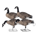 Avery Pro Grade XD FFD Canada Goose Harvester Full Body Decoys, 4 Pack Image
