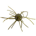 Strike King Tumbleweed Salted Soft Bait, 4 Pack watermelon red image