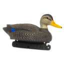 G&H Decoys Timber Hole Mixed Mallard, Gadwall and Black Duck Decoys Black Duck Image
