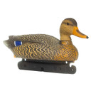 Hen Image of the Premier Series Magnum Mallard Drake Pack.