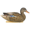 High Head image of the Avian-X Fully Flocked Topflight Mallard Hen.