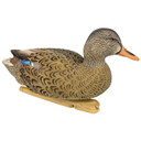 High Head Angled image of the Avian-X Fully Flocked Topflight Mallard Hen.