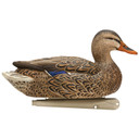 High-Head image of the Avian-X Topflight Mallards Fusion Extreme Hen.