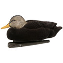 Image of drake rester Avian-X Fully Flocked Topflight Black Duck.