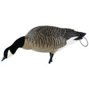 Picking Feeder image of Avian-X AXP Lesser Canada Goose Decoy.