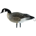Stub-Neck image of Avian-X AXP Lesser Canada Goose Decoy.