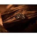 Riven RS2 Small Dome Elk Call Mood Image