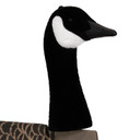 3-D Sentry Canada Goose Windsock_Head