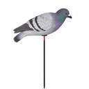 Avery Full Body Pigeon Decoy image