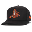 Waggle Pheasant Hat tilted image