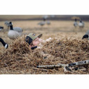 Beavertail Rampage Backpack Blind in use image