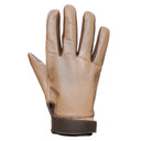 Glacier Gloves Pursuit Glove Back of Hand Image